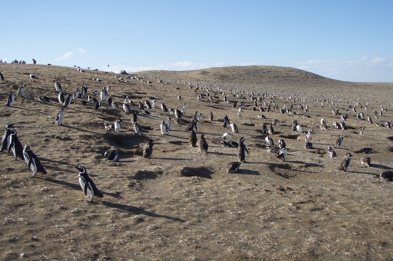 Monumento natural Los Pingüinos
