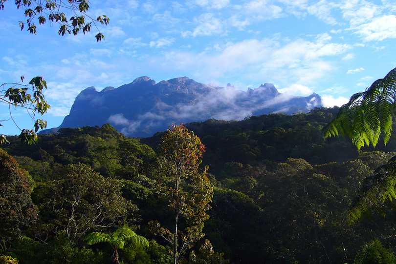 Kinabalu-hegy