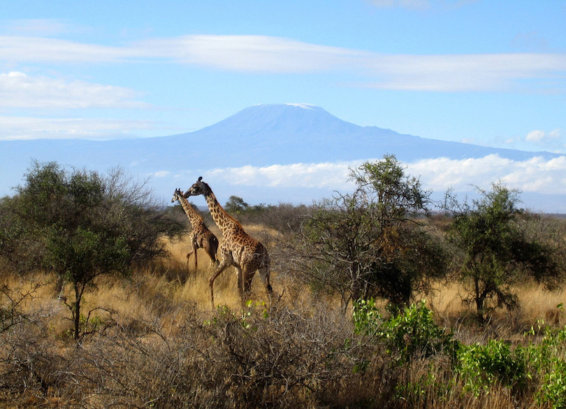 Amboseli Nemzeti Park