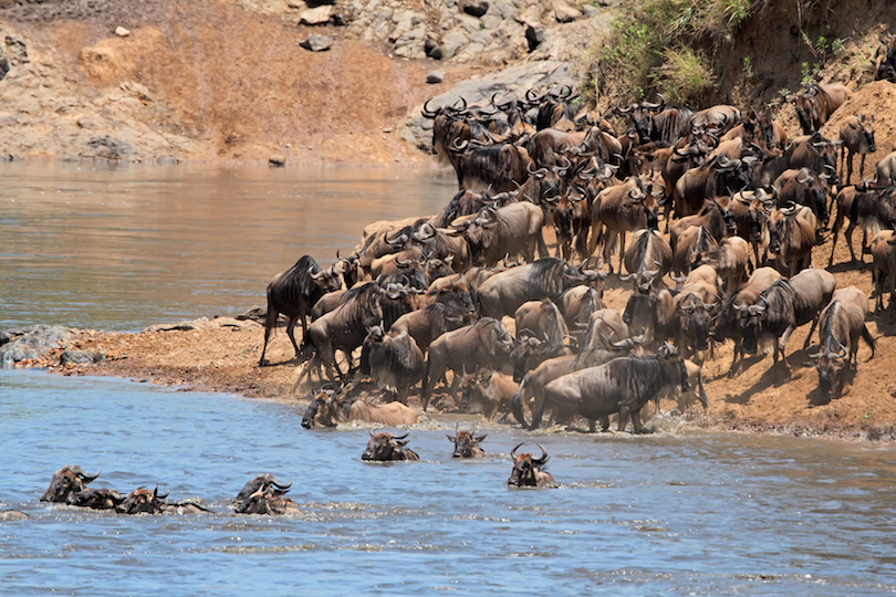Masai Mara Nemzeti Rezervátum