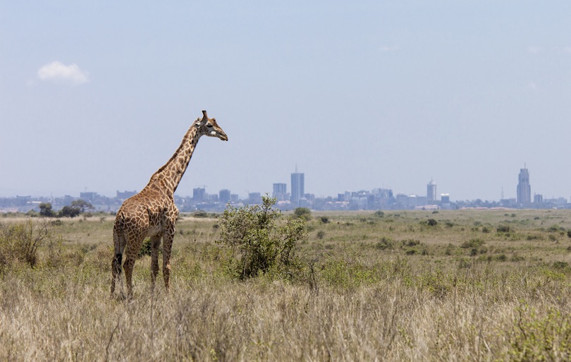 Nairobi Nemzeti Park