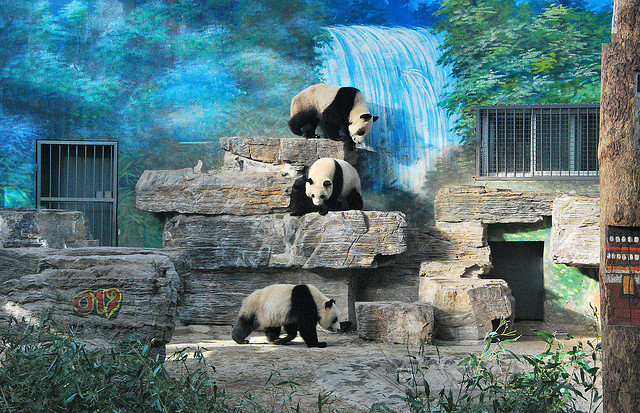 Pekingi Állatkert